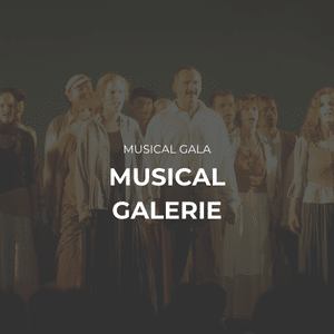 Das Bild zeigt eine Szene aus der Musical Gala mit dem Titel "Musical Galerie" und beinhaltet einen Link zur Projektseite.