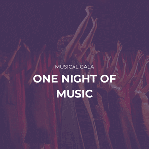 Das Bild zeigt eine Szene aus der Musical Gala mit dem Titel "One Night Of Music" und beinhaltet einen Link zur Projektseite.